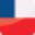 CHF FN
