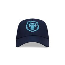 BEARS NAVY CORE CAP