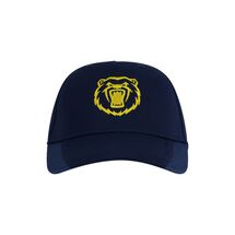 WARWICKSHIRE BEARS CASTORE PLAYING CAP 2026