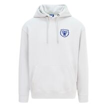 BEARS BATTING RELAXED HOODY