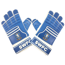  SWFC GK Gloves Adult