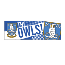  Long Car Sticker - The Owls!
