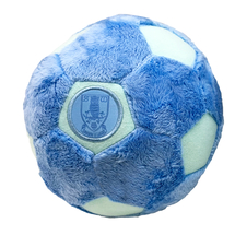  Owls Plush Baby Blue Football