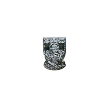  Silver Plated Crest Pin Badge